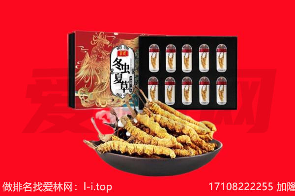 齐河县回收虫草.jpg